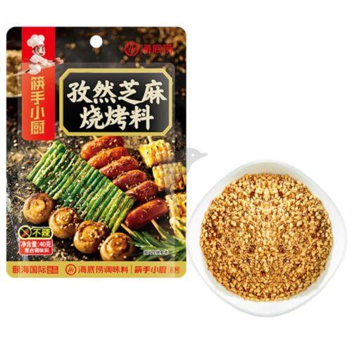 海底捞孜然芝麻烧烤料 40g